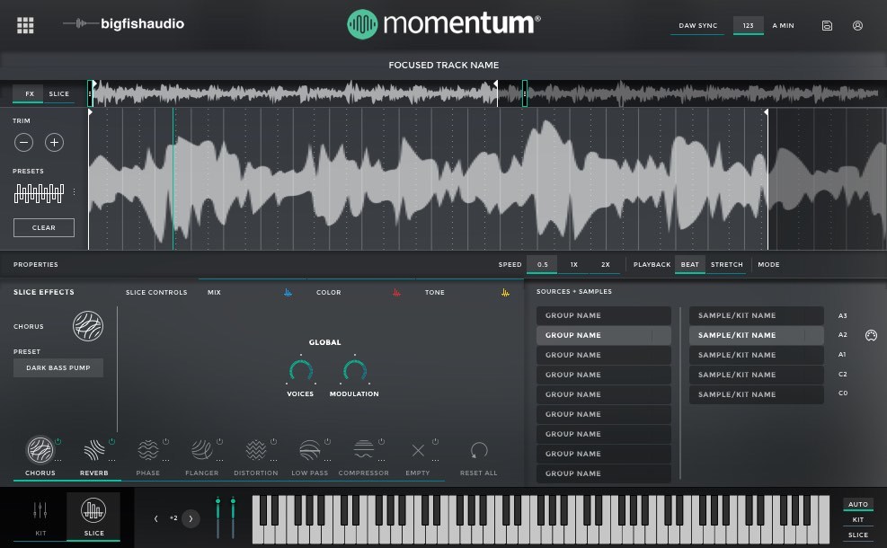 Momentum Slice View